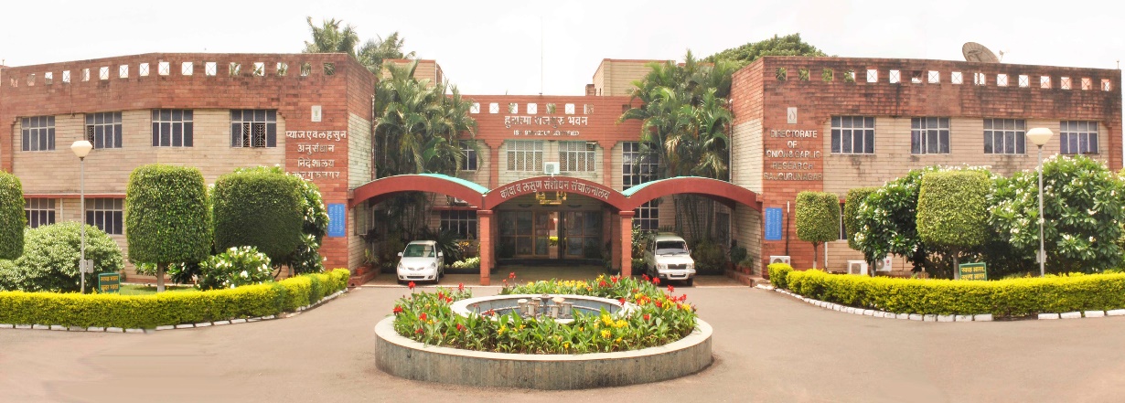 Directorate of Onion and Garlic Research