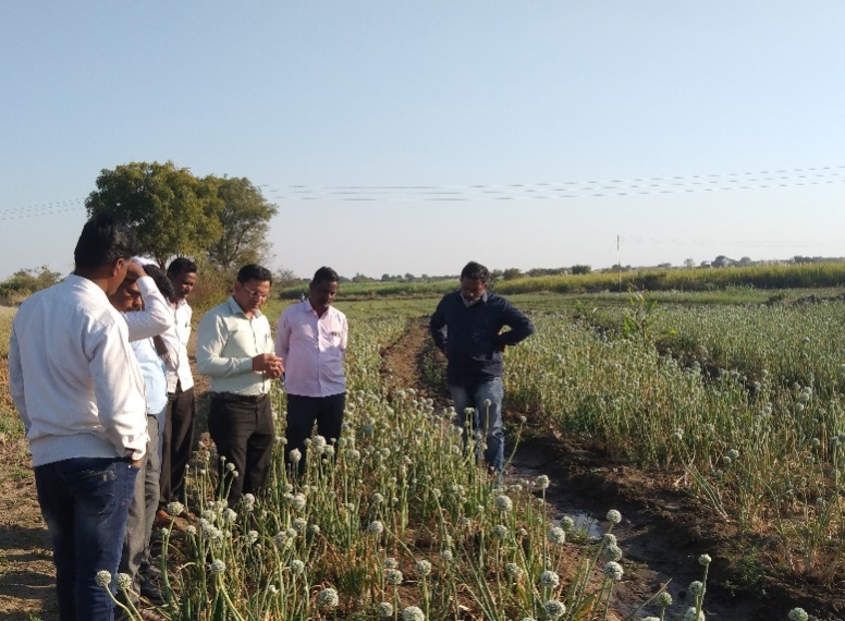 Onion Seed Village Success Story