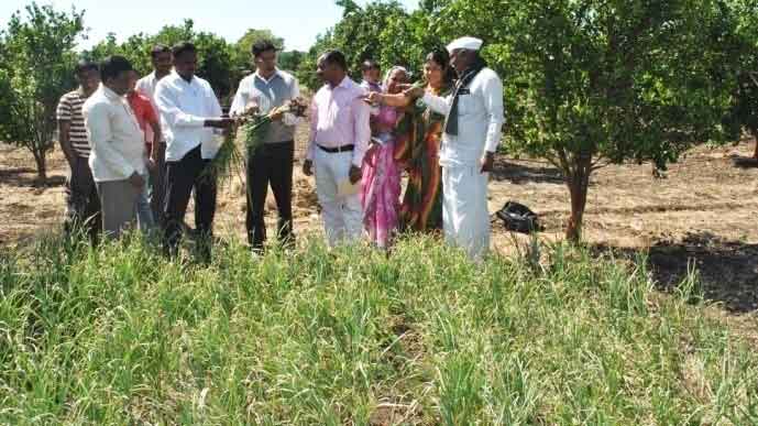 Farmer with Bhima Purple harvest