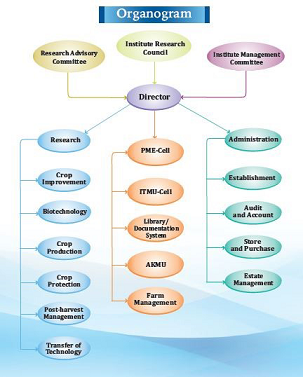 Organizational Chart