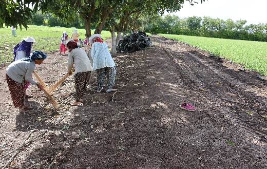 swach031025_01
